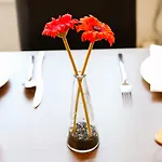 Broadlands (adults Only) בית הארחה 3*