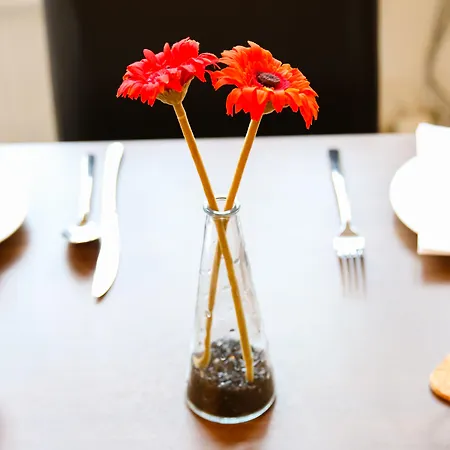 Broadlands (adults Only) Pensjonat 3*