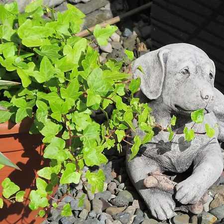 게스트하우스 Broadlands (adults Only)