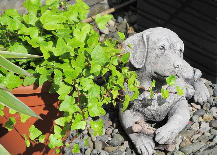 Penzion Broadlands (adults Only)